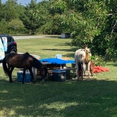 Review photo of Bayside Assateague Campground — Assateague Island National Seashore by A.R. R., October 10, 2019