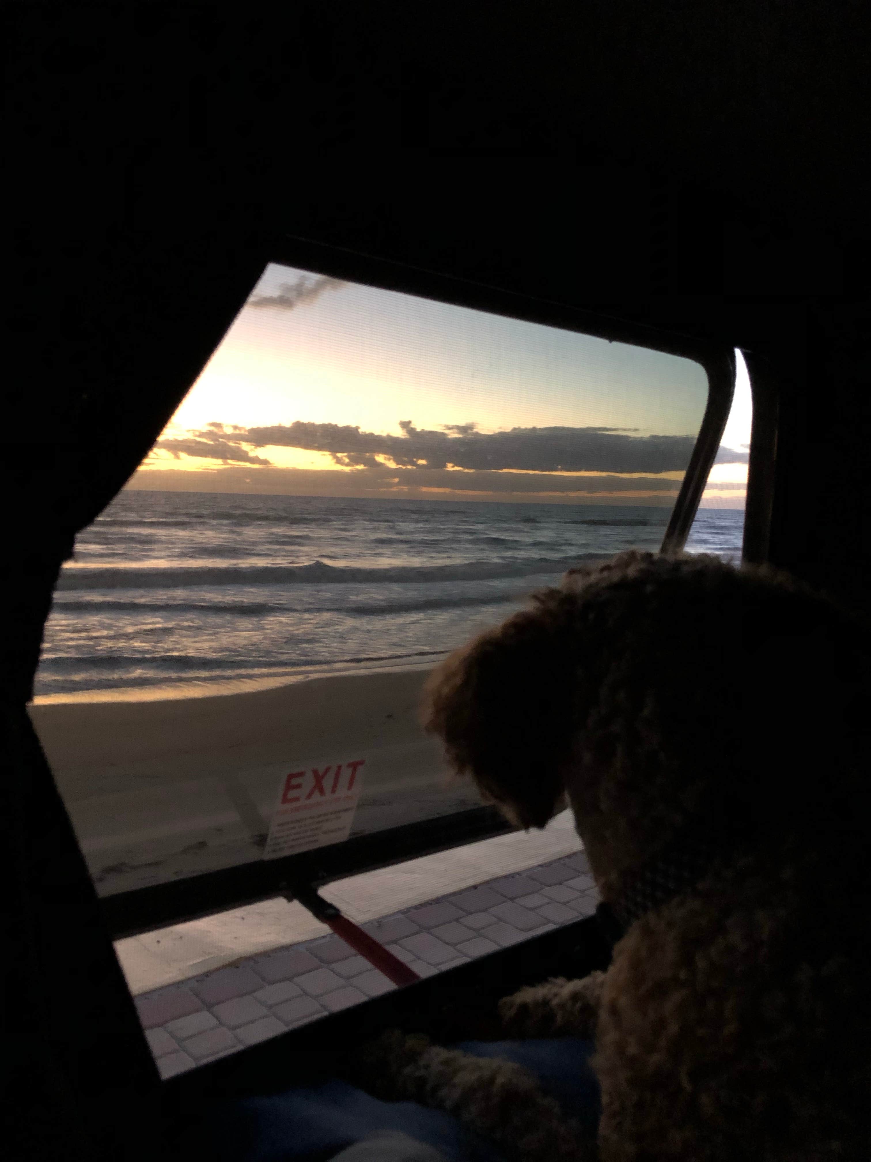 Repkha P.'s photo of camping with pets at Beverly Beach Camptown RV Resort near Ormond Beach, FL