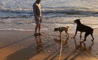 Repkha P.'s photo of camping with pets at Beverly Beach Camptown RV Resort near Palm Coast, FL
