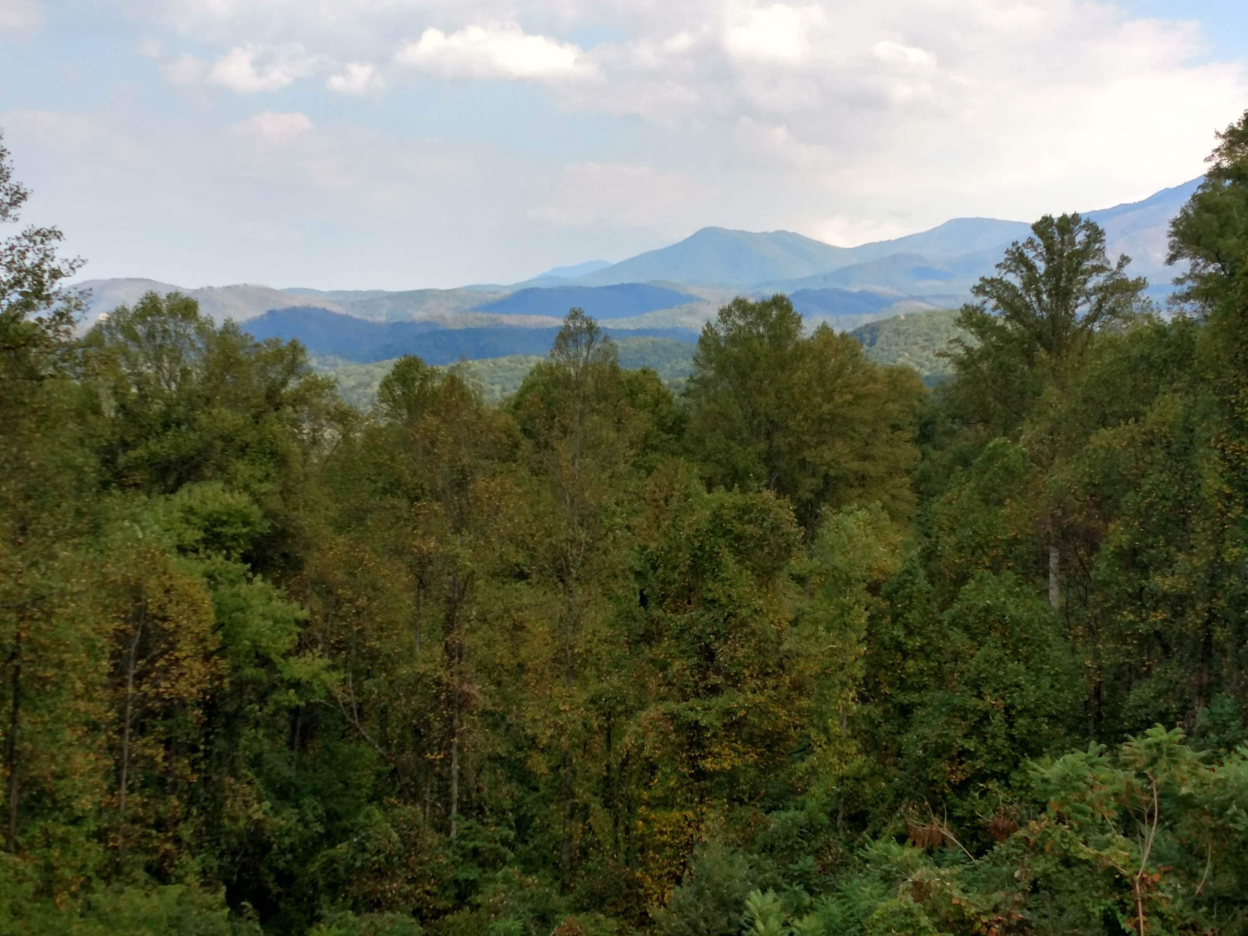 View All