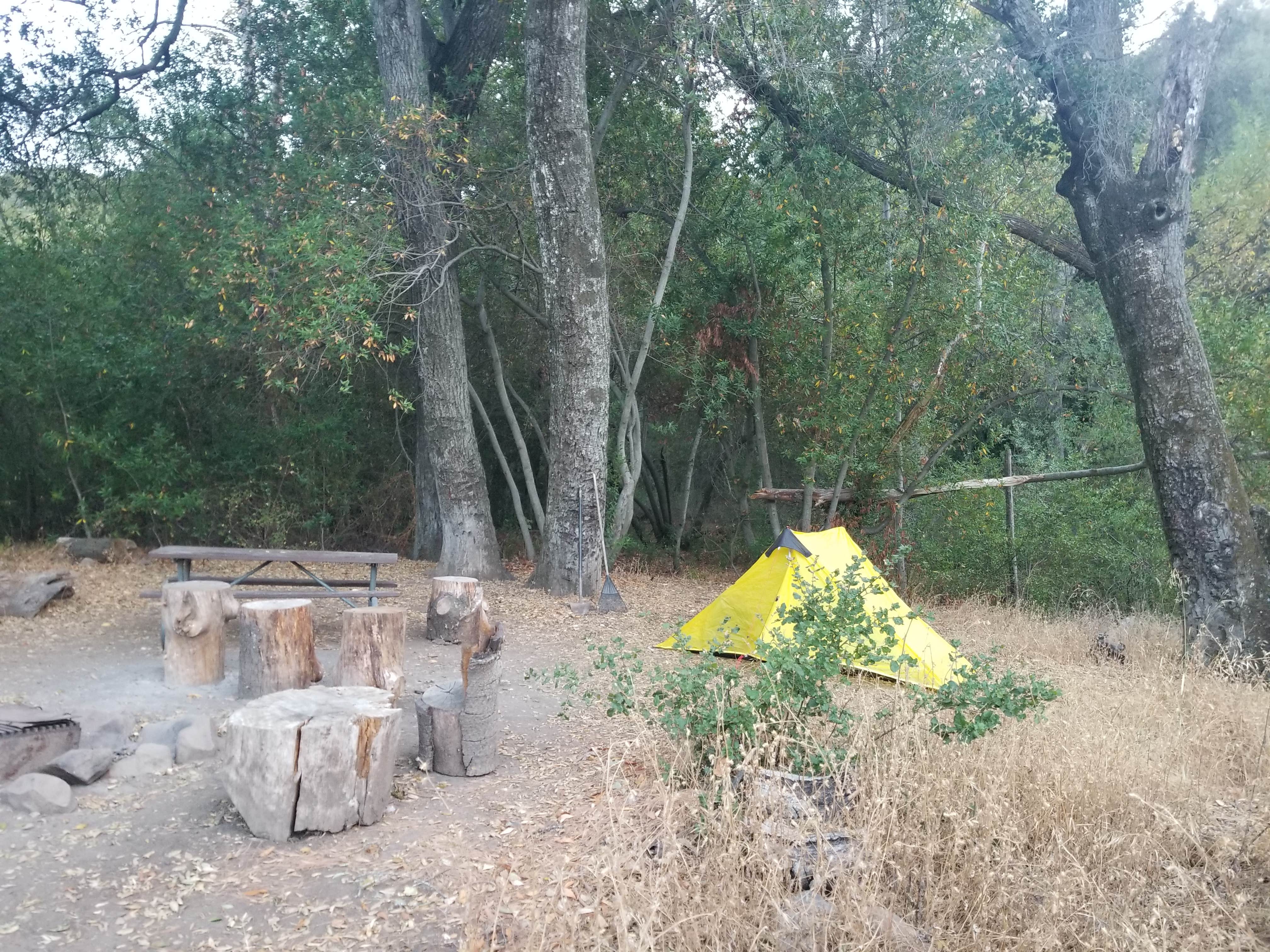 Chris D.'s photo of tent camping at Forbush Campground near Summerland, CA