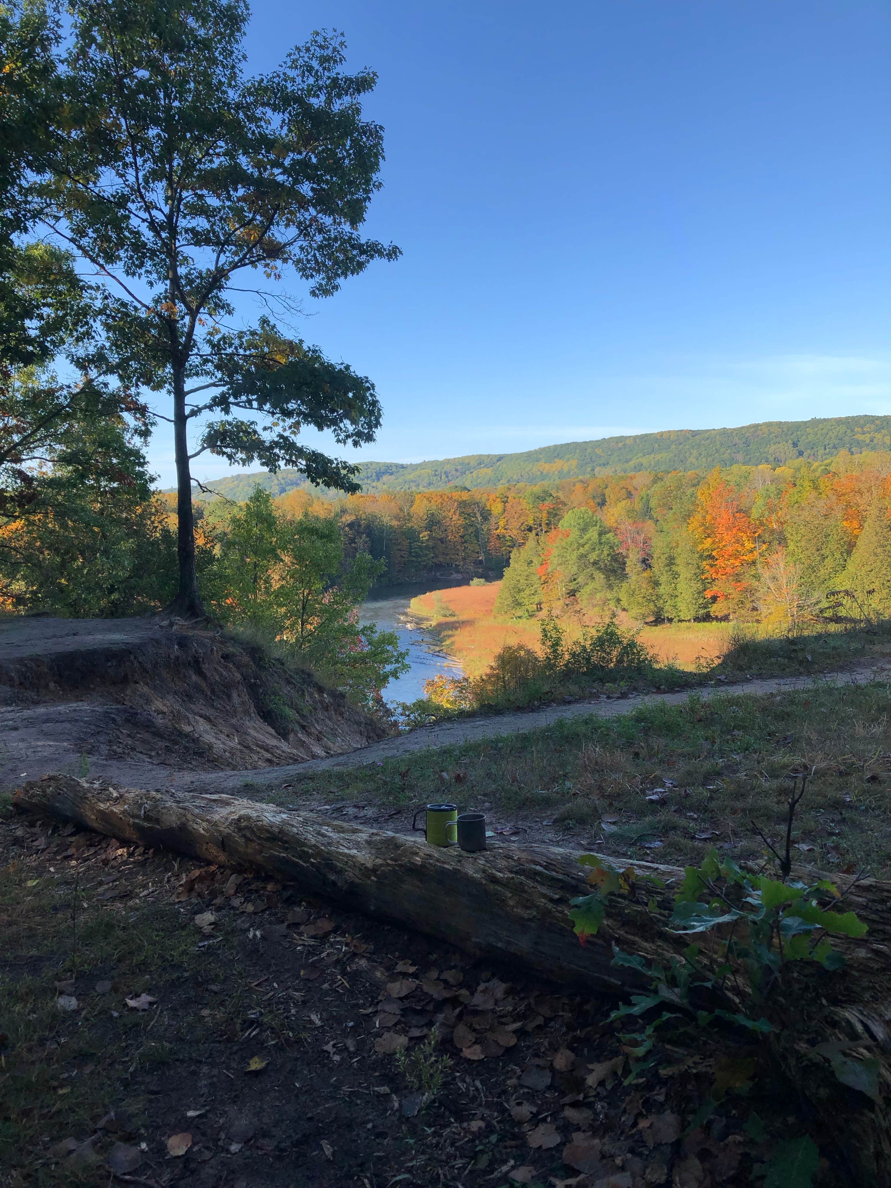 Camper submitted image from Upper Manistee River - 5