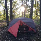 Review photo of Upper Manistee River by Angelia R., October 10, 2019