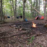 Review photo of Upper Manistee River by Angelia R., October 10, 2019