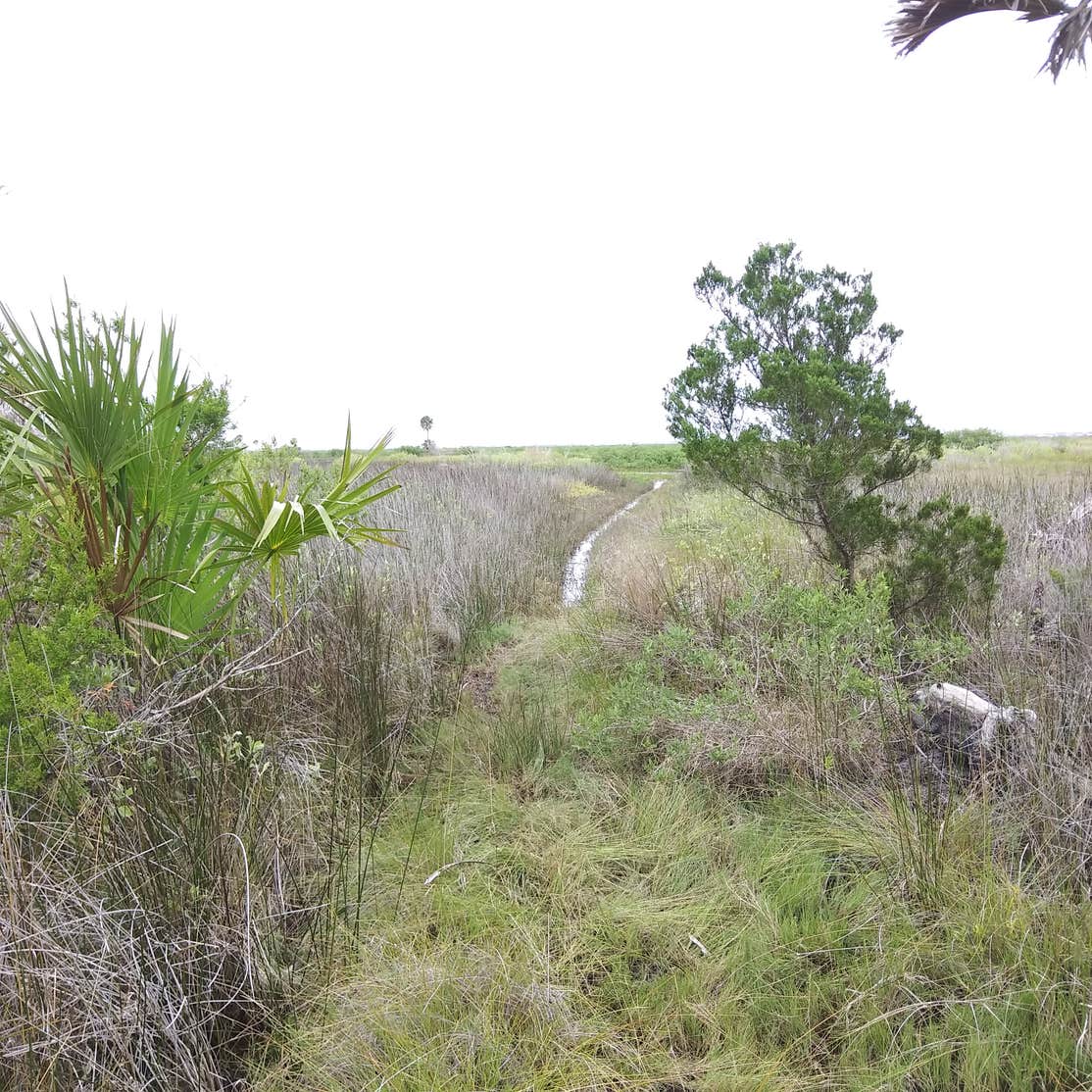 Matanzas State Forest Camping | The Dyrt