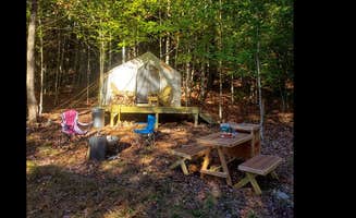 The Dyrt's photo at Living Water Campsites: Mossy Acres 2 near Hawley, MA