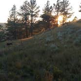 Review photo of Reva Gap Campground by Natalie B., August 15, 2017