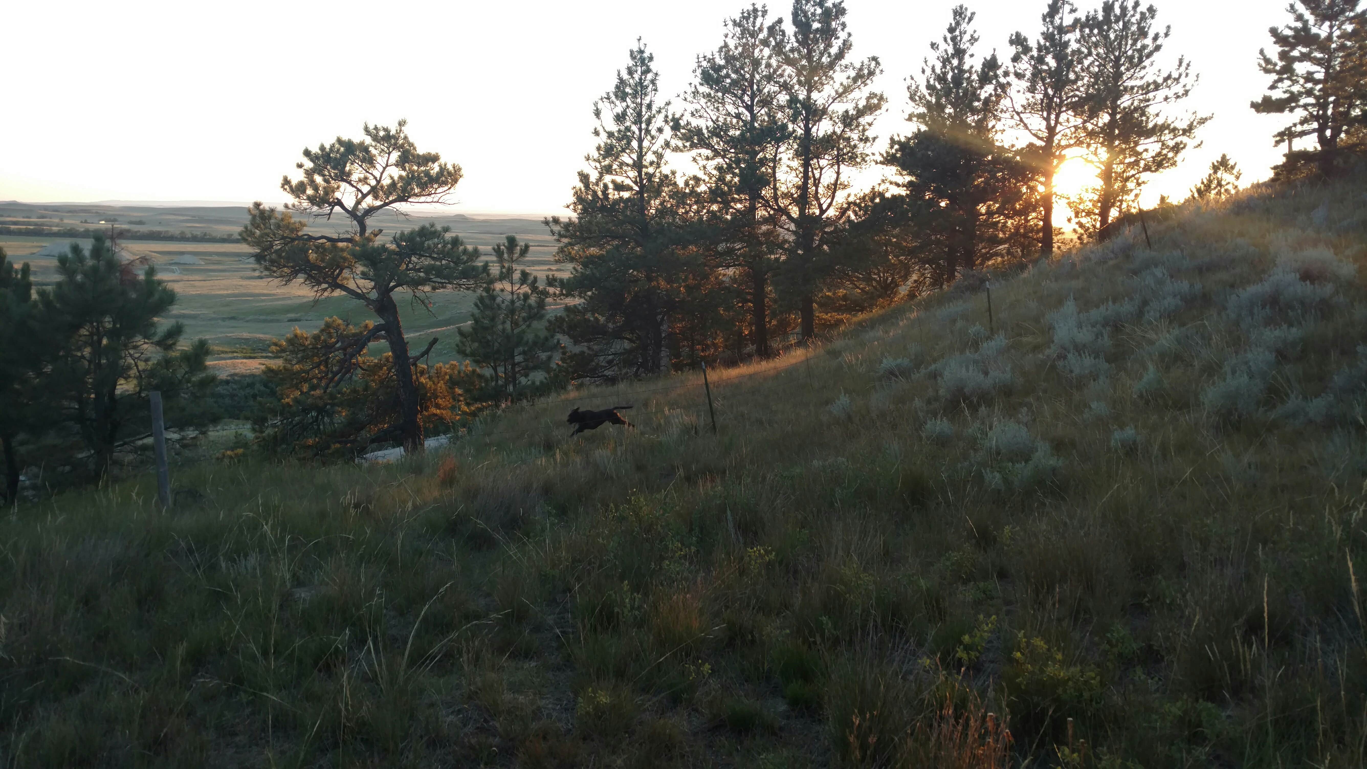 Camper submitted image from Reva Gap Campground - 1