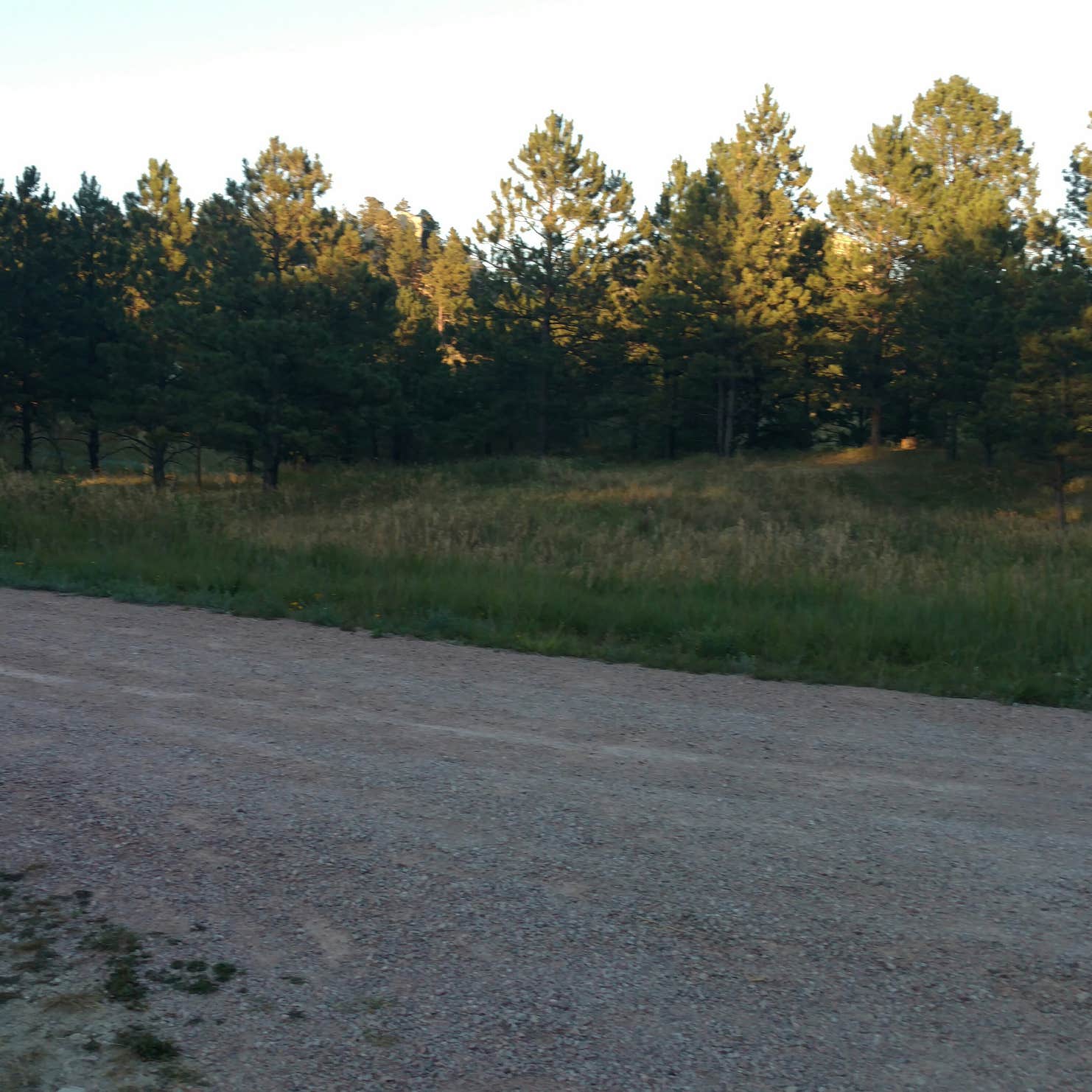 Reva Gap Campground Camping The Dyrt