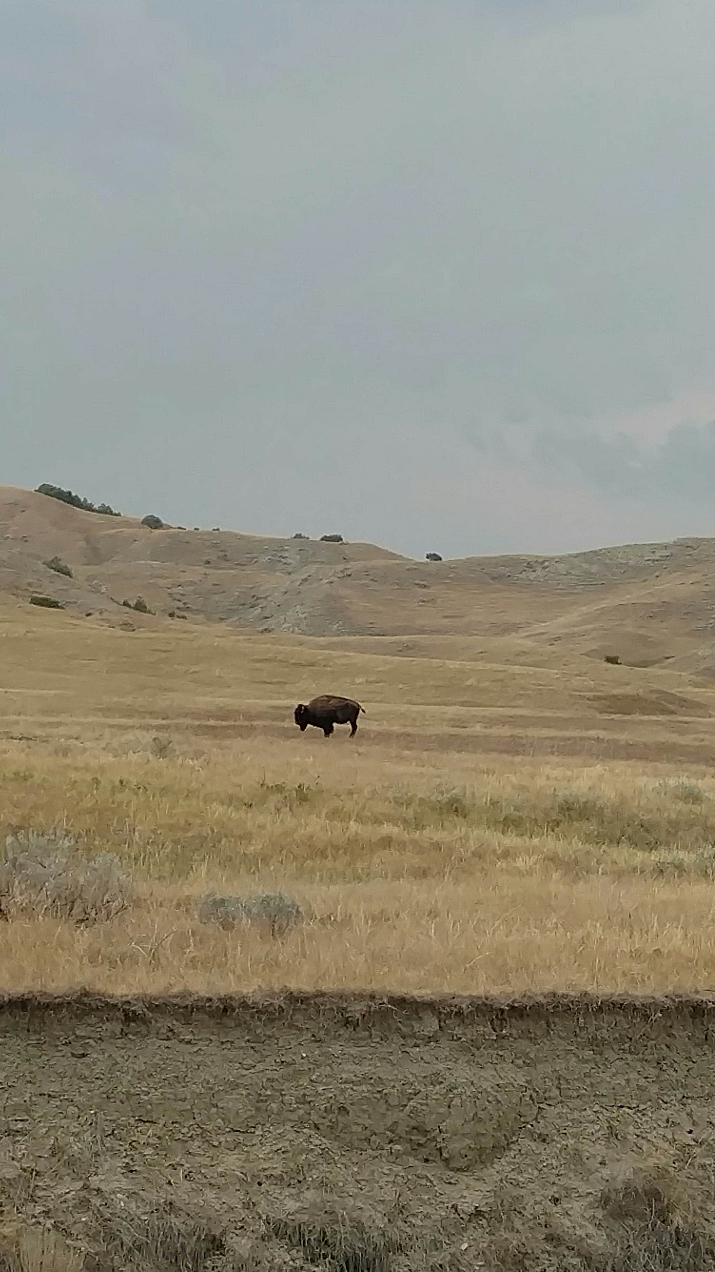 Camper-submitted photo at American Creek Campground near Platte, SD