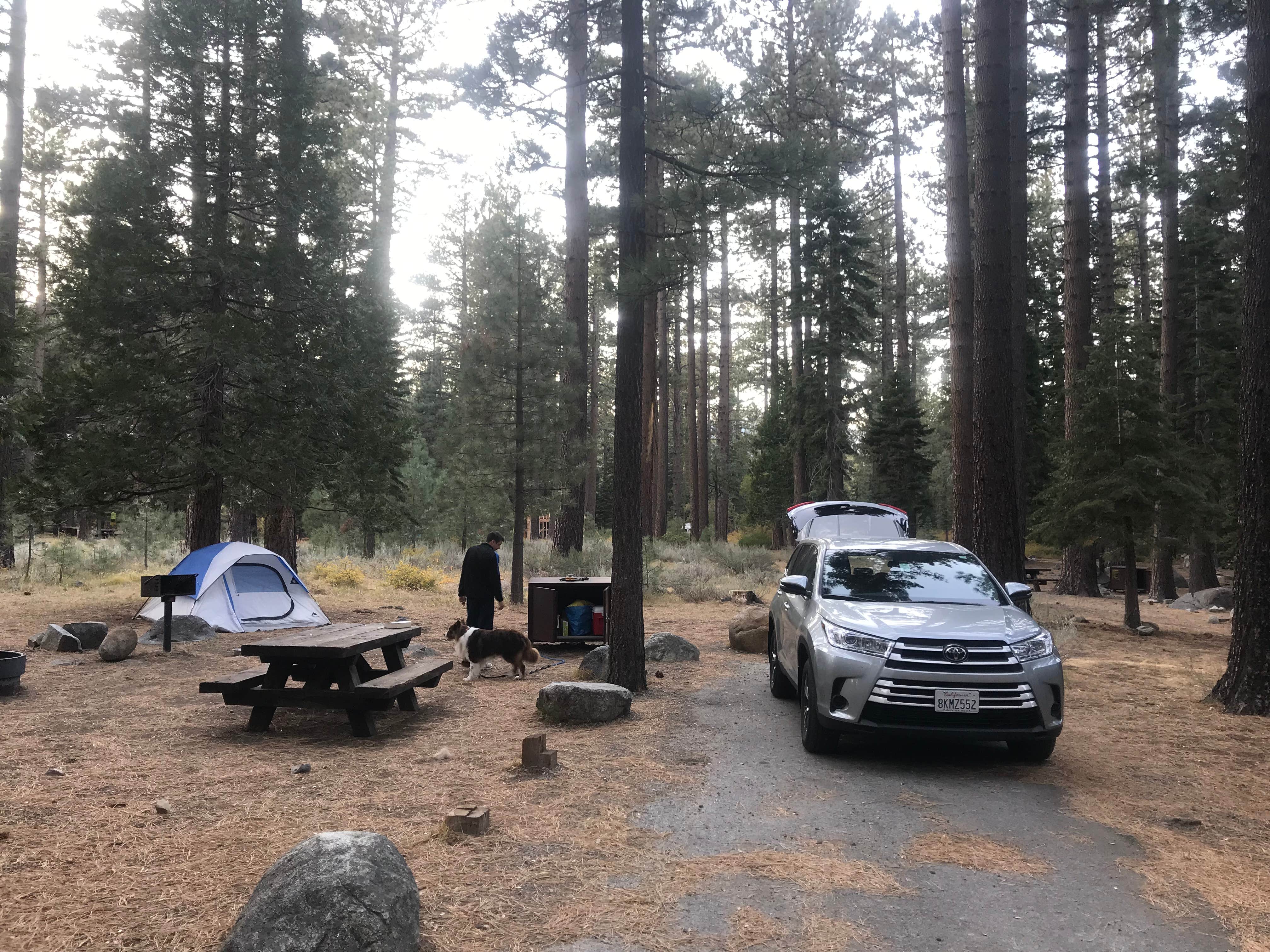 Laura C.'s photo of camping with pets at Fallen Leaf Campground - South Lake Tahoe near South Lake Tahoe, CA