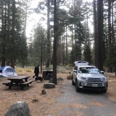 Review photo of Fallen Leaf Campground - South Lake Tahoe by Laura C., October 11, 2019