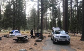 Laura C.'s photo of camping with pets at Fallen Leaf Campground - South Lake Tahoe near South Lake Tahoe, CA