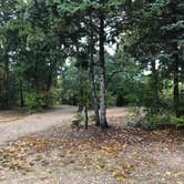 Review photo of Shady Knoll Campground by Molly G., October 11, 2019