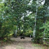 Review photo of Shady Knoll Campground by Molly G., October 11, 2019