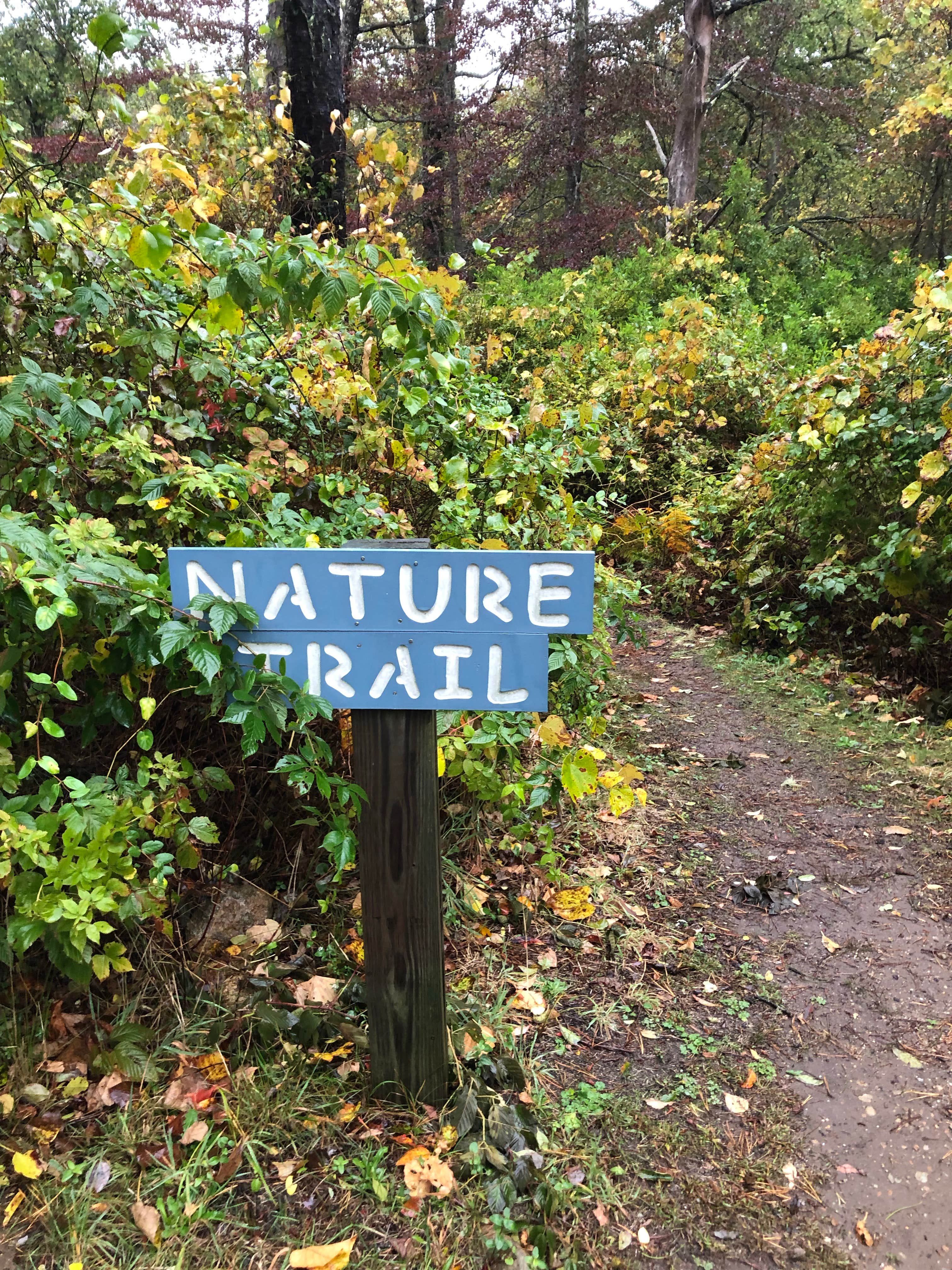 Camper submitted image from Shady Knoll Campground - 5