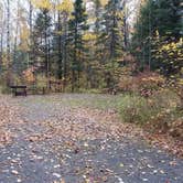 Review photo of Amnicon Falls State Park Campground by Amy G., October 11, 2019