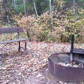 Review photo of Amnicon Falls State Park Campground by Amy G., October 11, 2019