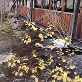 Review photo of Amnicon Falls State Park Campground by Amy G., October 11, 2019