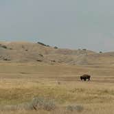 Review photo of Sage Creek Campground by Natalie B., August 15, 2017