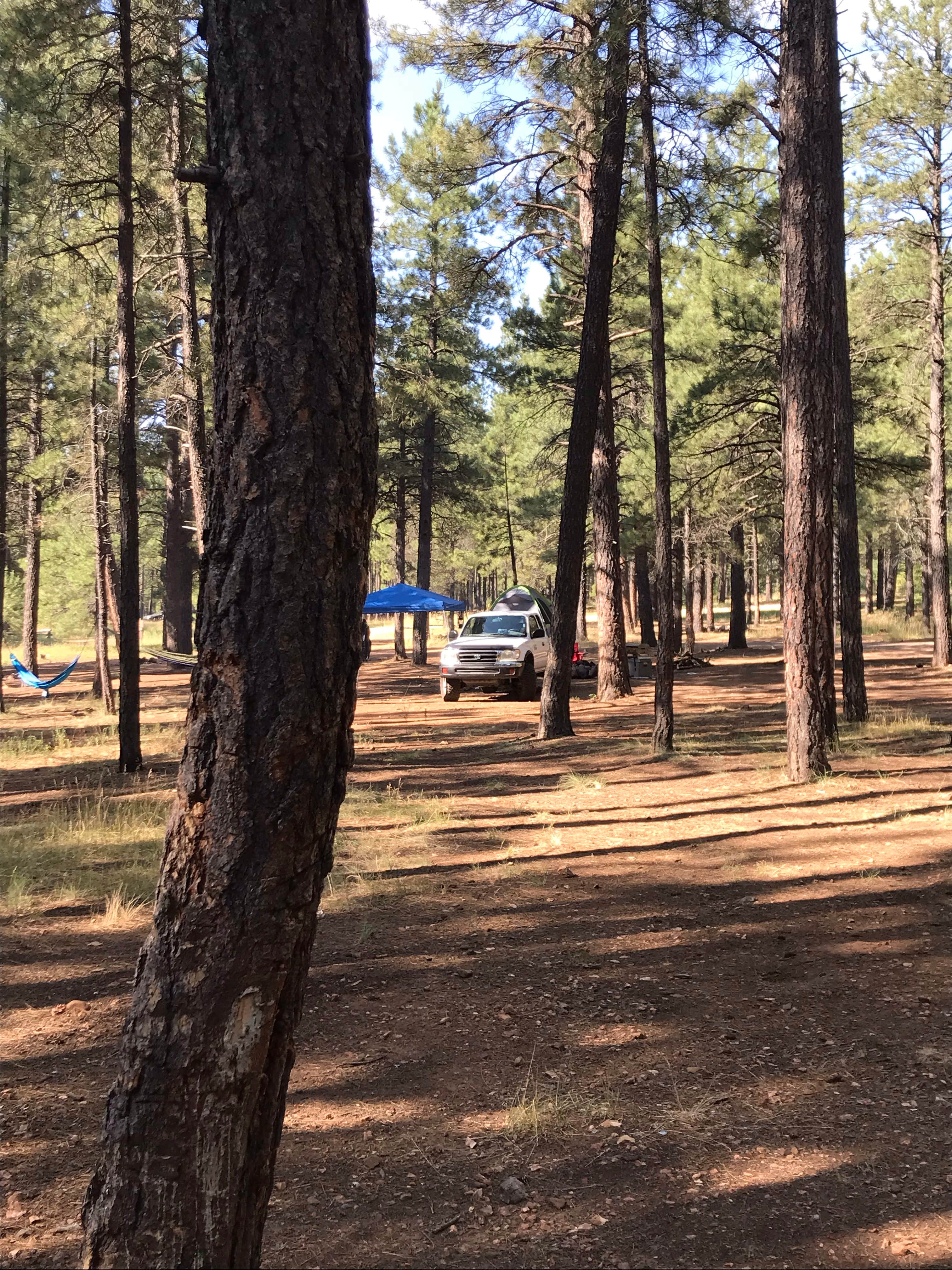 Camper-submitted photo at Pumphouse Wash (FR 237) Dispersed Camping Area near Mormon Lake, AZ