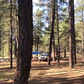 Review photo of Pumphouse Wash (FR 237) Dispersed Camping Area by John M., October 12, 2019