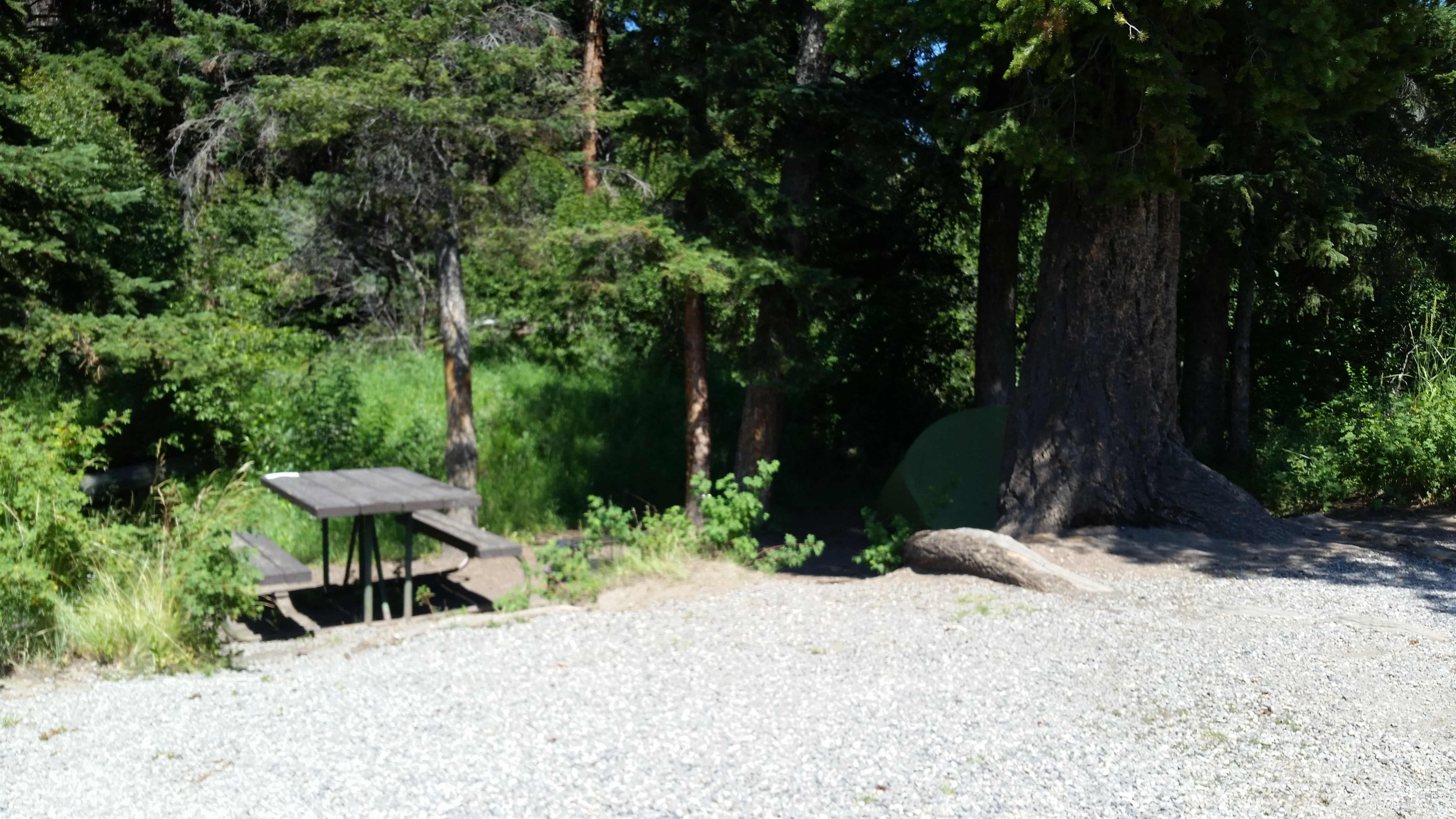 Camper submitted image from Slough Creek Campground — Yellowstone National Park - 5