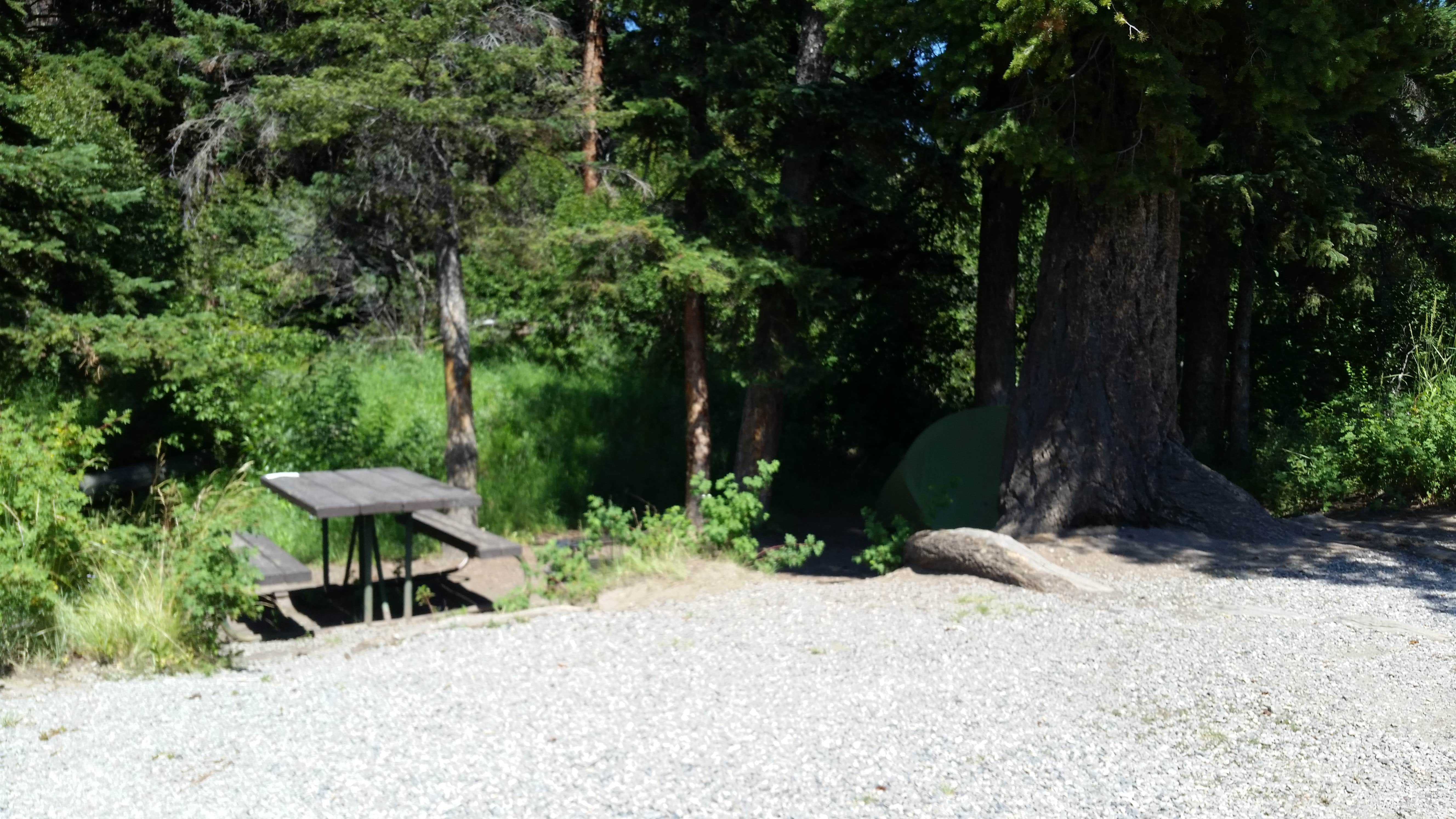 Camper submitted image from Slough Creek Campground — Yellowstone National Park - 4