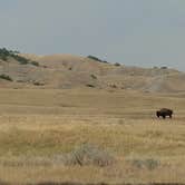 Review photo of Sage Creek Campground by Natalie B., August 15, 2017