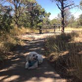 Review photo of Elk Ridge Campground — Ridgway State Park by Denise K., October 12, 2019