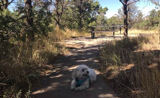 Denise K.'s photo of camping with pets at Elk Ridge Campground — Ridgway State Park near Black Canyon of the Gunnison National Park
