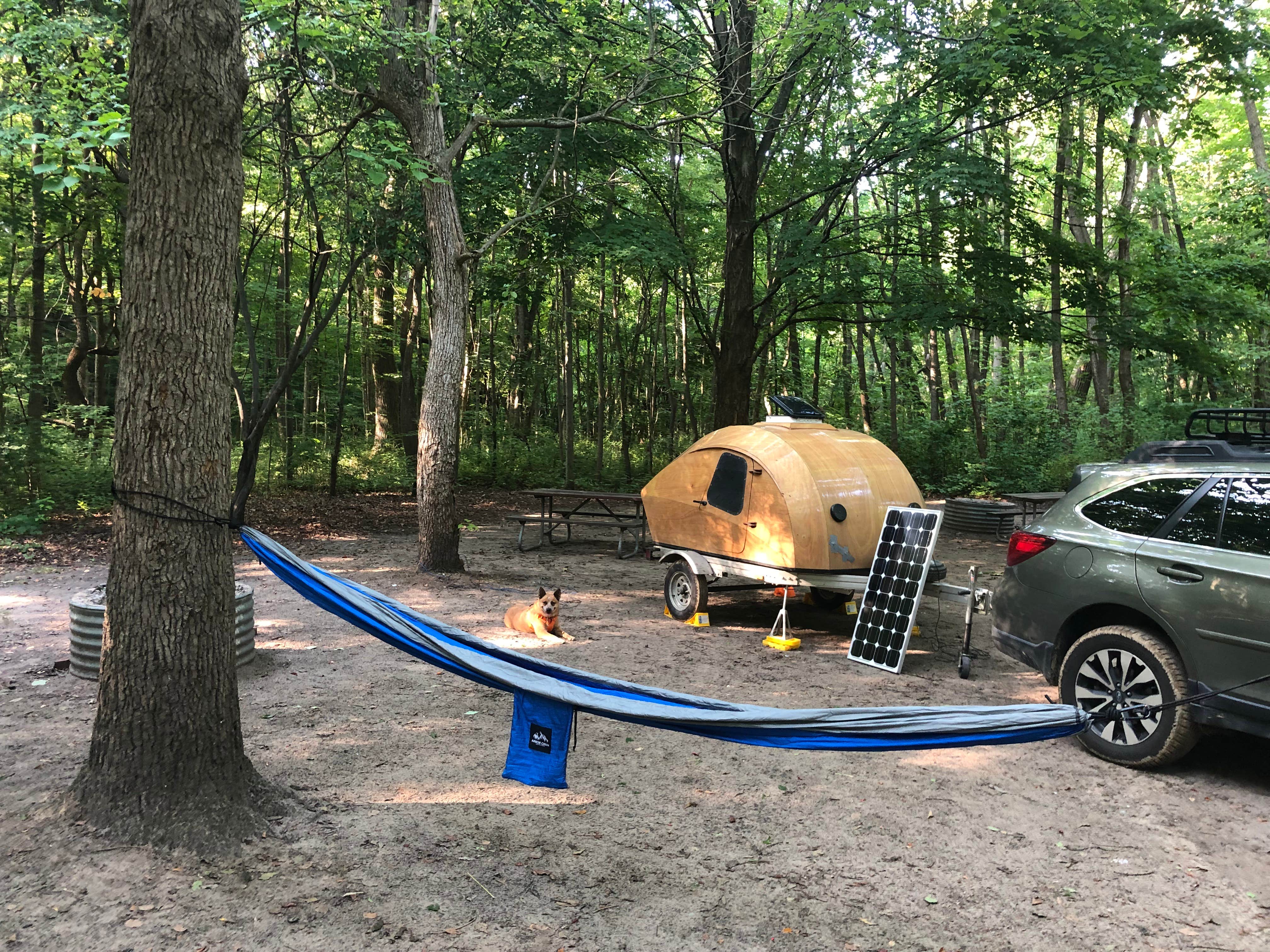 Art S.'s photo of camping with pets at Warren Dunes State Park Campground in Michigan