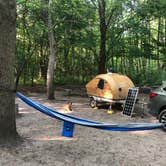Review photo of Mount Randall Campground — Warren Dunes State Park by Art S., October 12, 2019