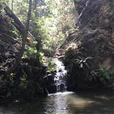 Review photo of Elk Prairie Campground — Prairie Creek Redwoods State Park by Brandyn J., August 15, 2017