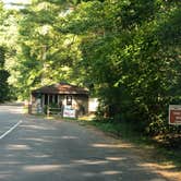 Review photo of Mount Randall Campground — Warren Dunes State Park by Art S., October 12, 2019