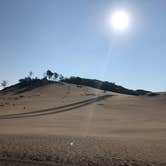 Review photo of Mount Randall Campground — Warren Dunes State Park by Art S., October 12, 2019