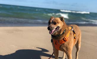 Art S.'s photo of camping with pets at Mount Randall Campground — Warren Dunes State Park near Benton Harbor, MI