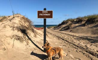 Art S.'s photo of camping with pets at Mount Randall Campground — Warren Dunes State Park near St. Joseph, MI