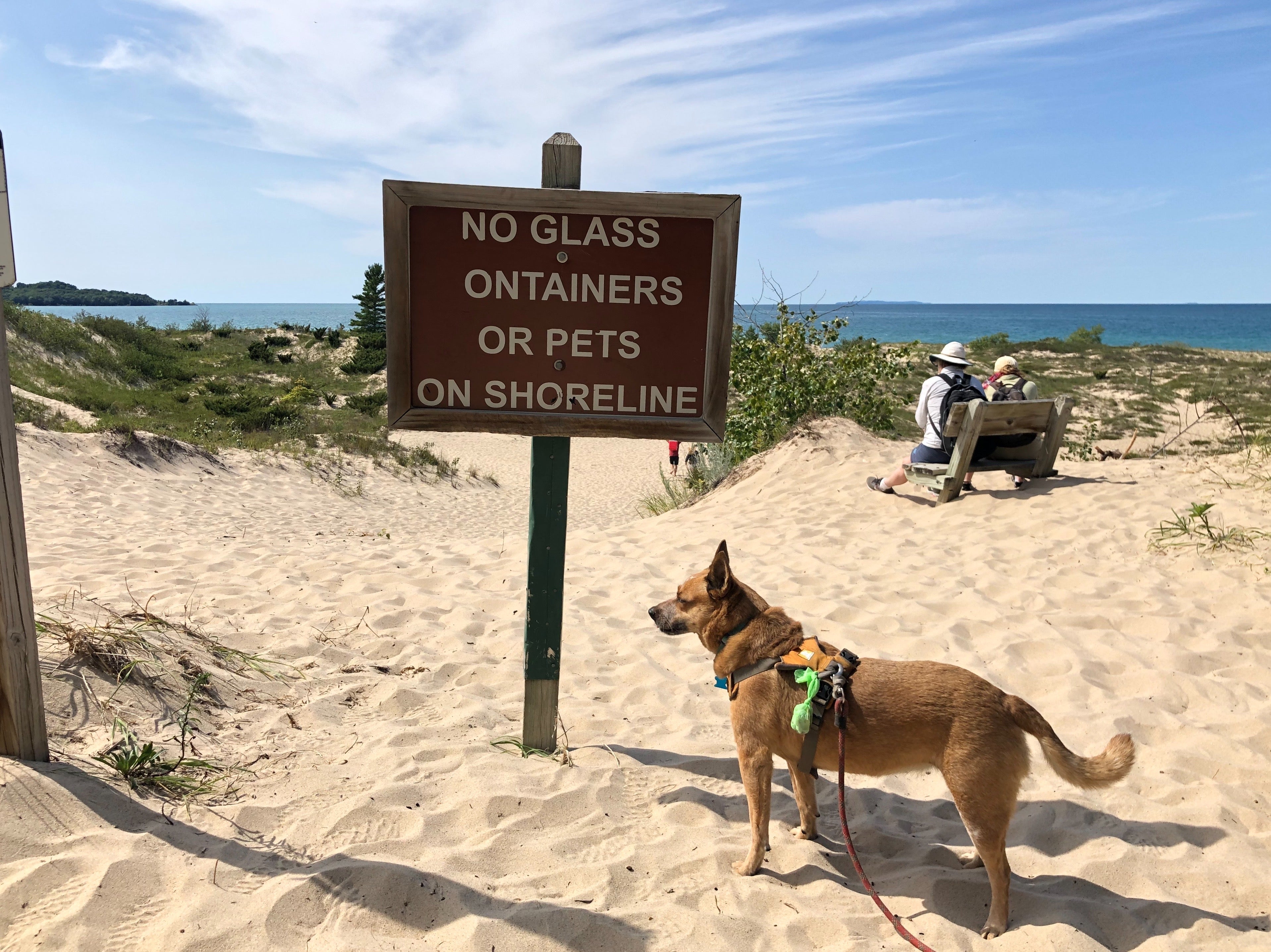 The beach by the hiking trails are not dog friendly