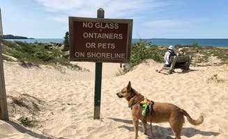 Art S.'s photo of camping with pets at Leelanau State Park Campground near Ellsworth, MI