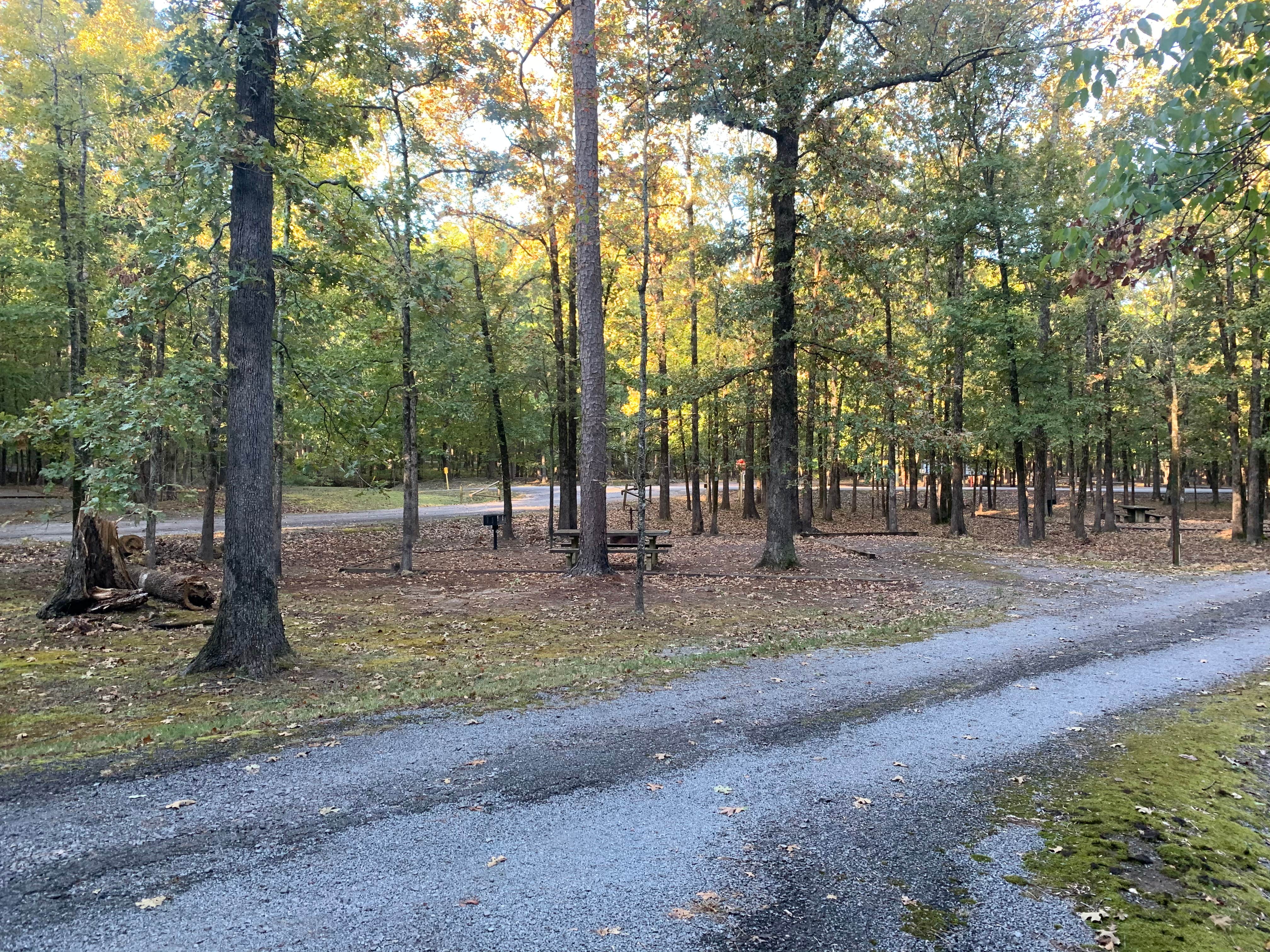 Camper-submitted photo at Lake Sylvia Recreation Area near Paron, AR