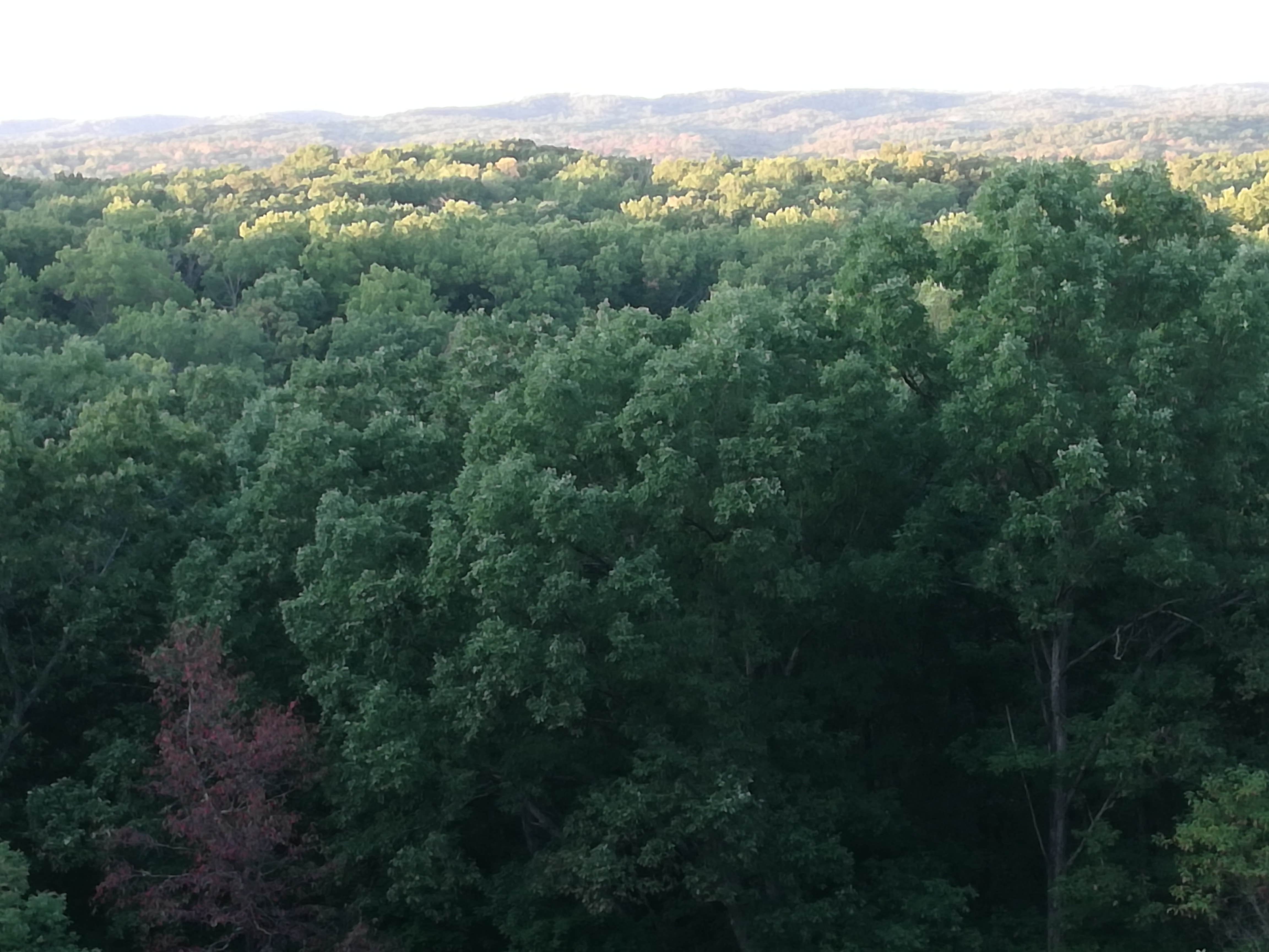 Camper submitted image from Raccoon Ridge Campground — Brown County State Park - 2