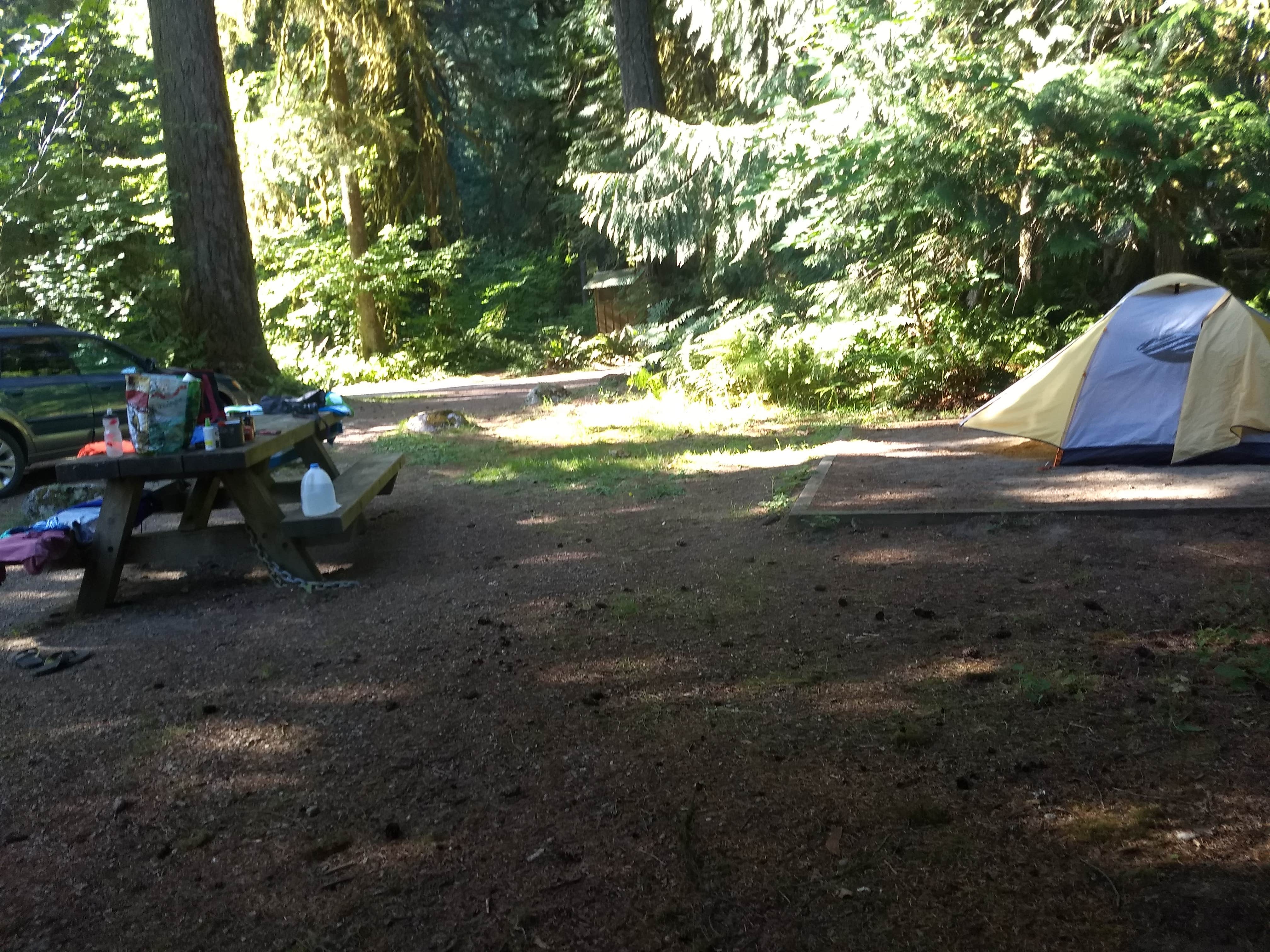 Danielle S.'s photo at Marble Creek Campground near Marblemount, WA