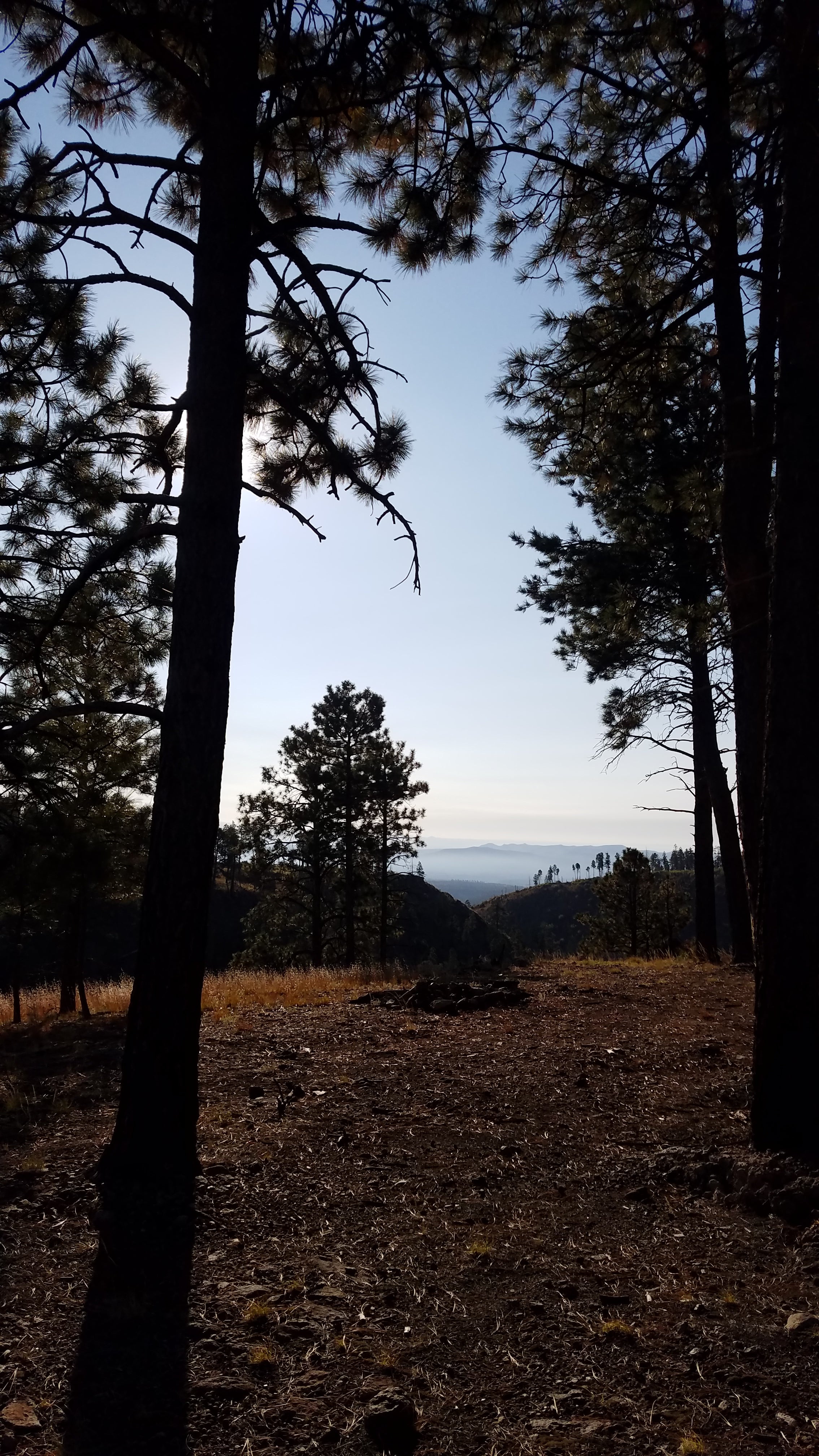 Camper submitted image from Pajarito Springs (Dispersed) - 2