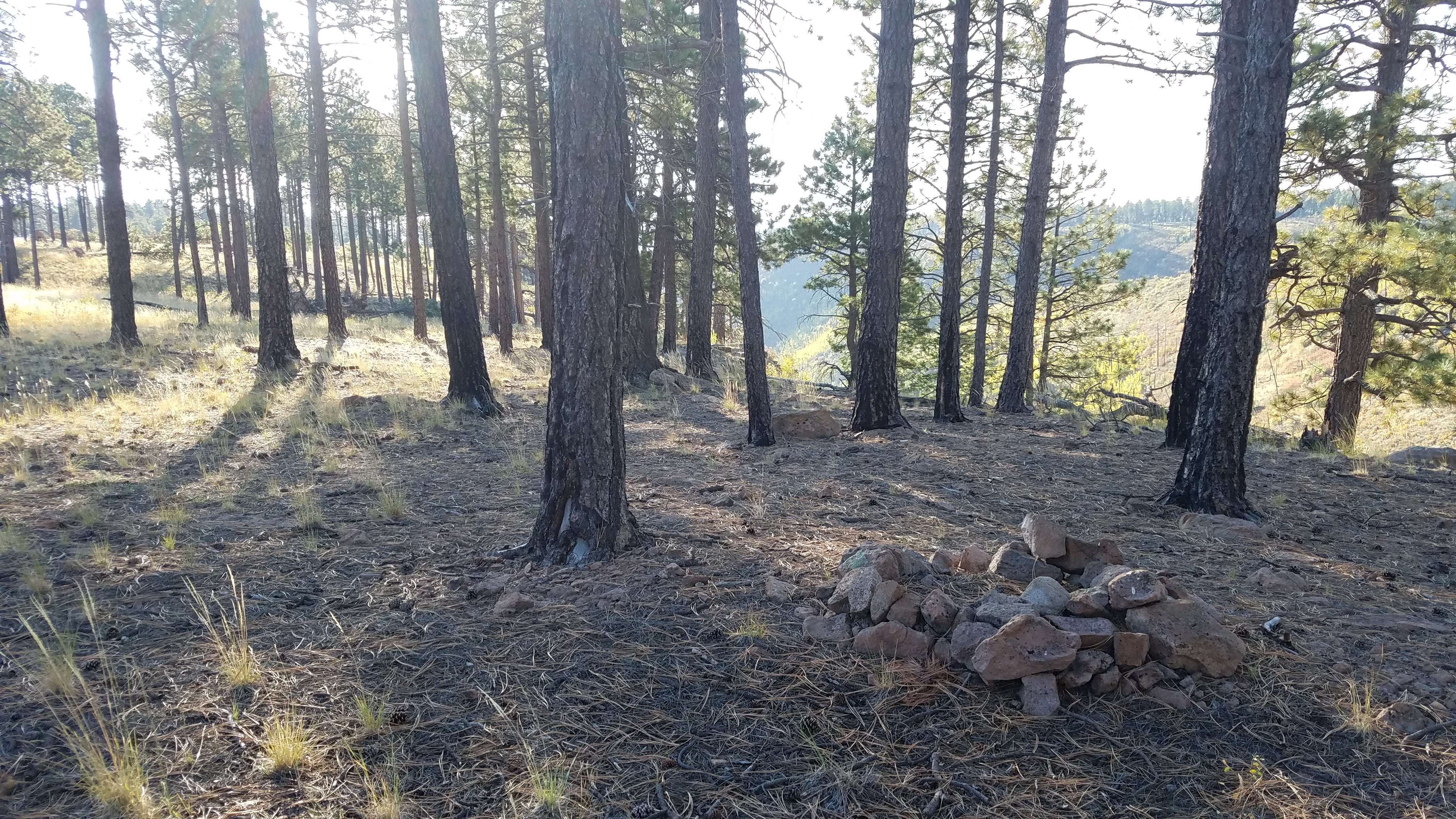 Camper submitted image from Pajarito Springs (Dispersed) - 3