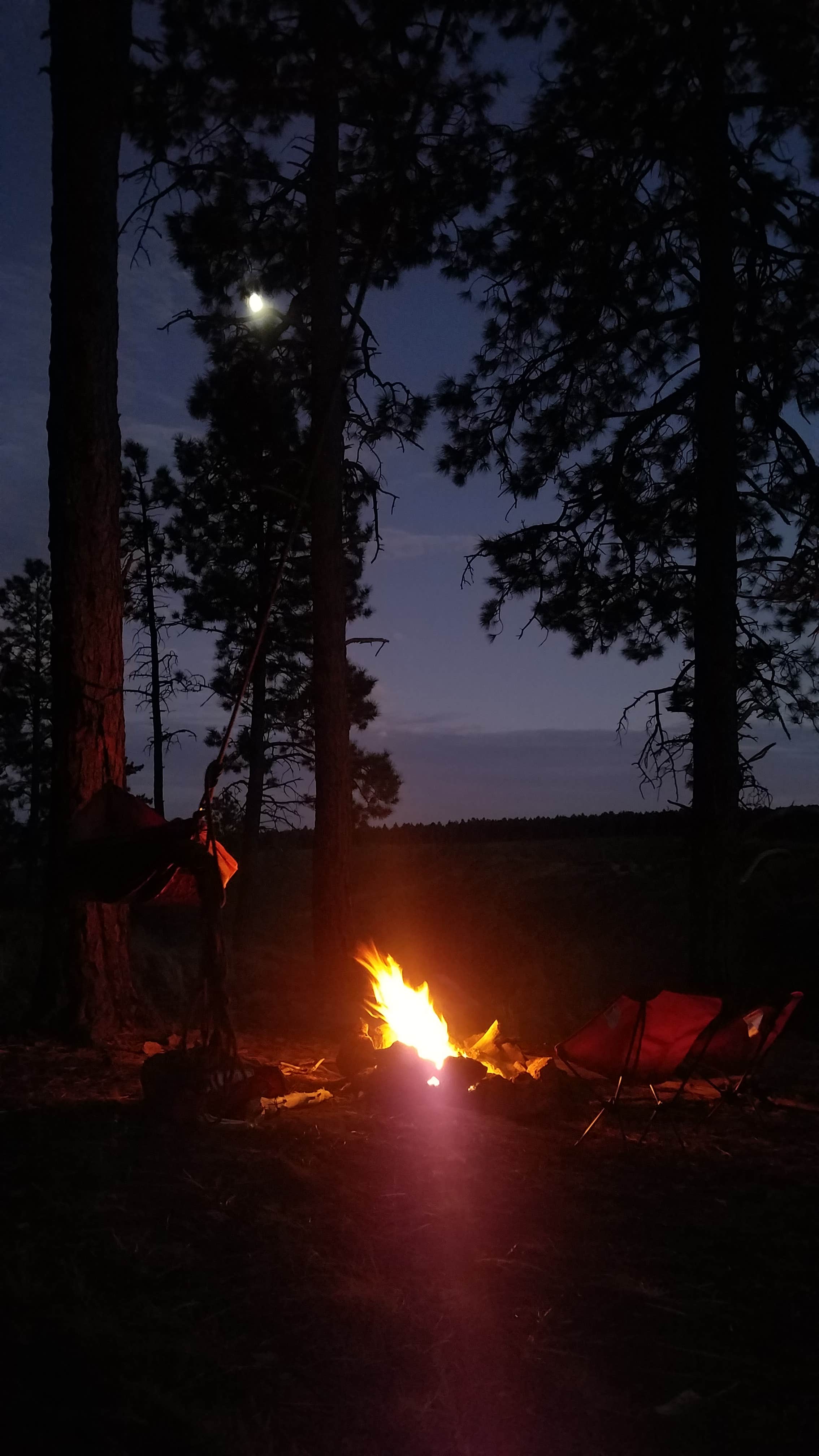 Camper submitted image from Pajarito Springs (Dispersed) - 5