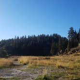 Review photo of Las Conchas Trailhead - Primitive Climber's Camp by Alan B., October 12, 2019