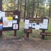 Review photo of Jemez Falls Campground by Alan B., October 12, 2019