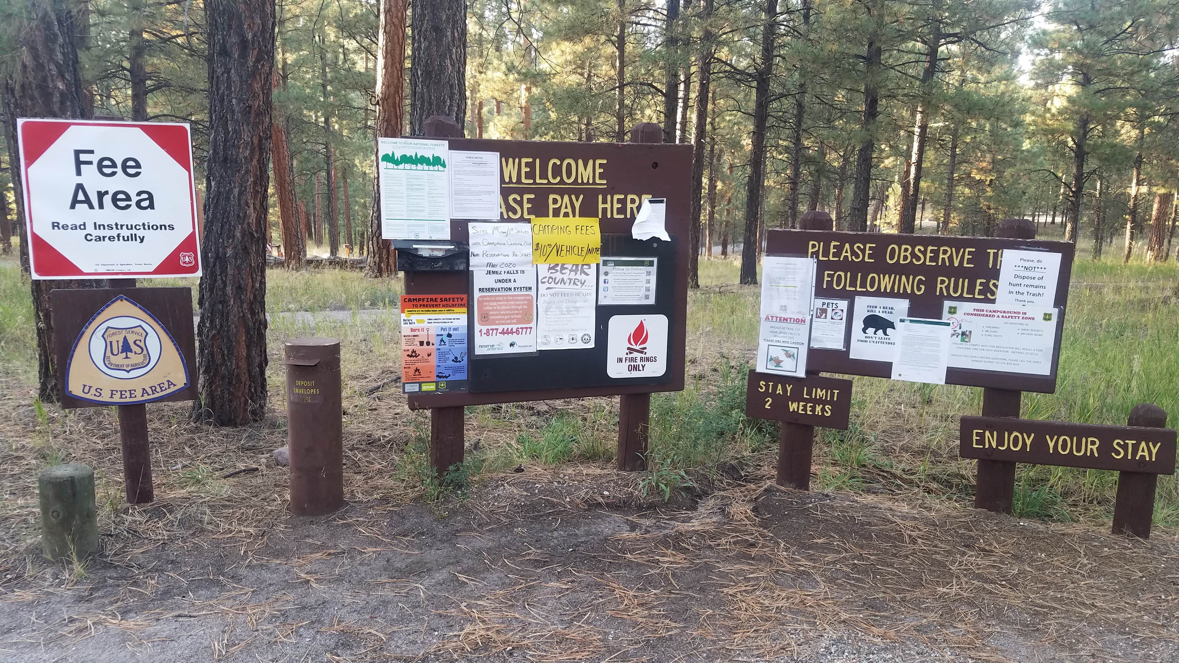 Camper submitted image from Jemez Falls Campground - 4