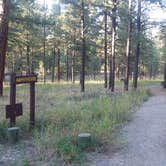 Review photo of Jemez Falls Campground by Alan B., October 12, 2019